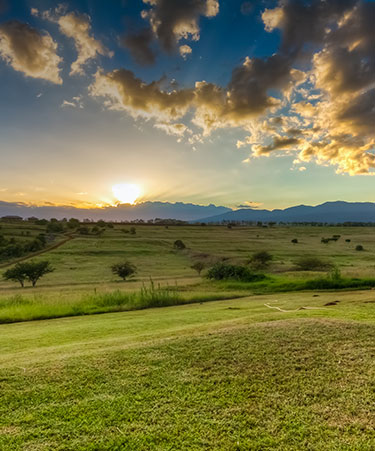 Karatuiti tanzanai classic 1
